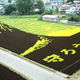 Illustration for article titled Behold These Incredible Artworks Grown from a Rice Field in Japan